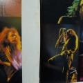 Deep Purple,  Live In Japan, 2LP 1979 Japan, Warner Bros Records, płyta winylowa