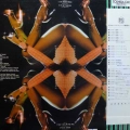 Jun Fukamachi, Second Phase, LP 1977 Japan, Toshiba Records, płyta winylowa