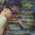 Various, Call Me By Your Name (Original Motion Picture Soundtrack), Luca Guadagnino, 2LP 2018 EU, Masterworks, plyta winylowa