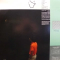 Inoyama Land, Danzindan-Pojidon, LP 1983 Japan, Yen Records, płyta winylowa