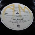 Andy Summers, Robert Fripp, Bewitched, LP 1984 Japan, AM Records, płyta winylowa