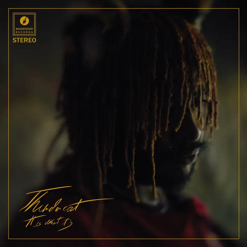 THUNDERCAT It Is What It Is LP (DELUXE EDITION) CLEAR