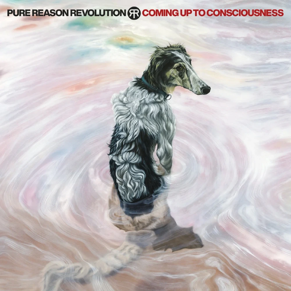 Pure Reason Revolution, Coming Up To Consciousness LP Niebieski winyl, hard rock, heavy metal
