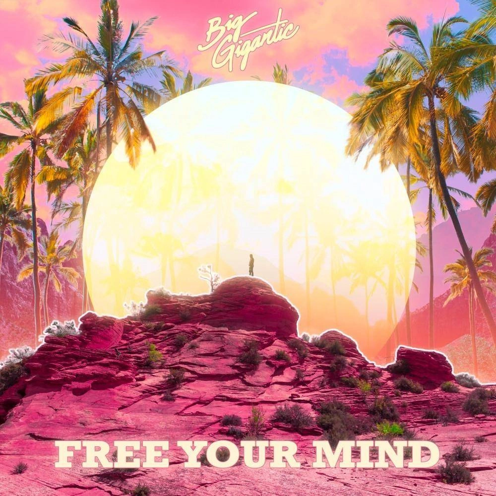Big Gigantic, Free Your Mind 2LP Kolorowy winyl