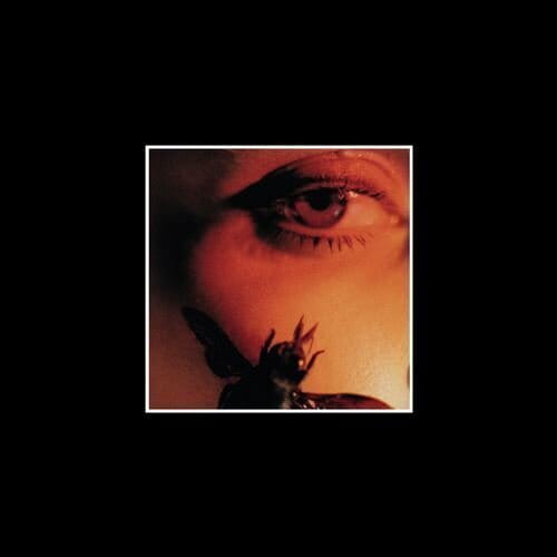 LONDON GRAMMAR The Greatest Love LP + Book + CD + 10'LP