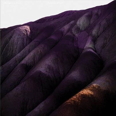 WHISPERING SONS Several Others LP Kolorowy winyl