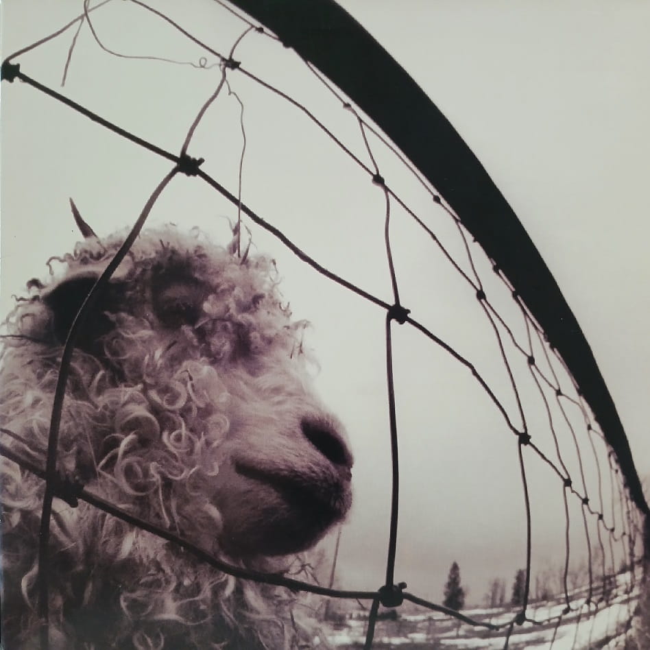 Pearl Jam,  Vs. LP USA 1993 płyta winylowa