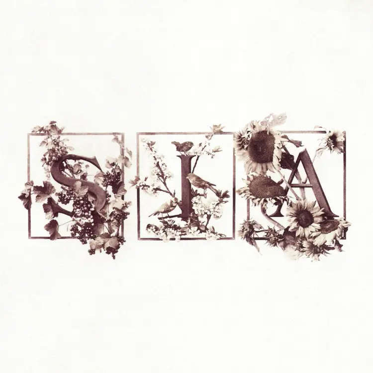Sia, Colour The Small One 2LP RSD 2024, white & transparent, nowa płyta winylowa