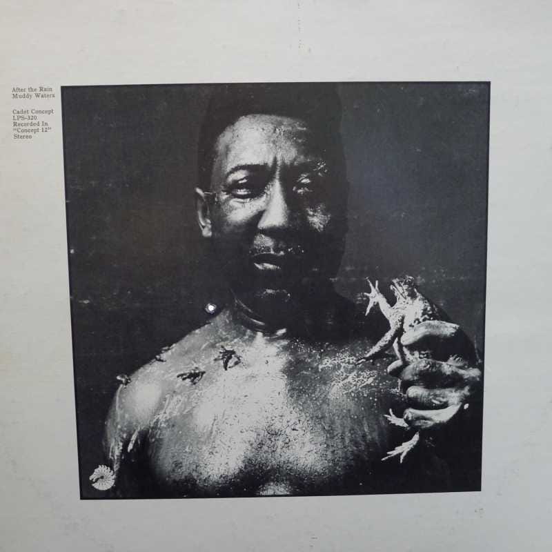 Muddy Waters, After The Rain LP 1969 US, Cadet Concept, płyta winylowa