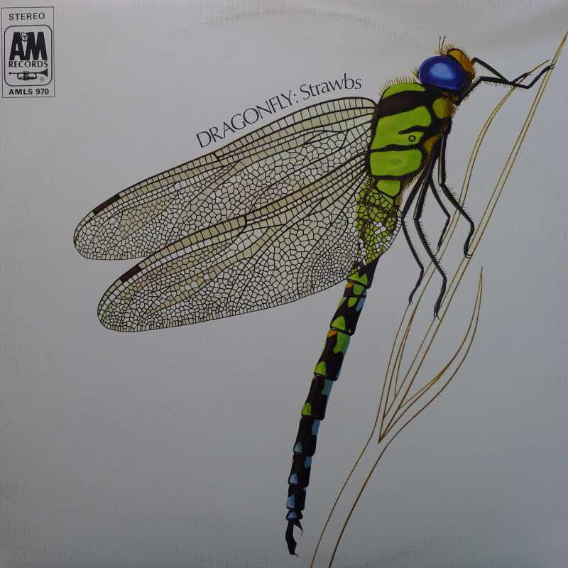 Dragonfly, Strawbs, LP 1970 UK, AM Records, płyta winylowa