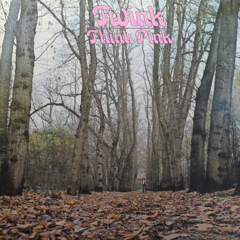 Twink, Think Pink, LP 1970 US, Sire, płyta winylowa