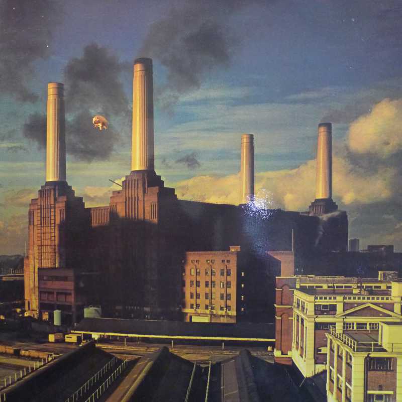 Pink Floyd, Animals LP 1977 Sweden, Harvest, płyta winylowa