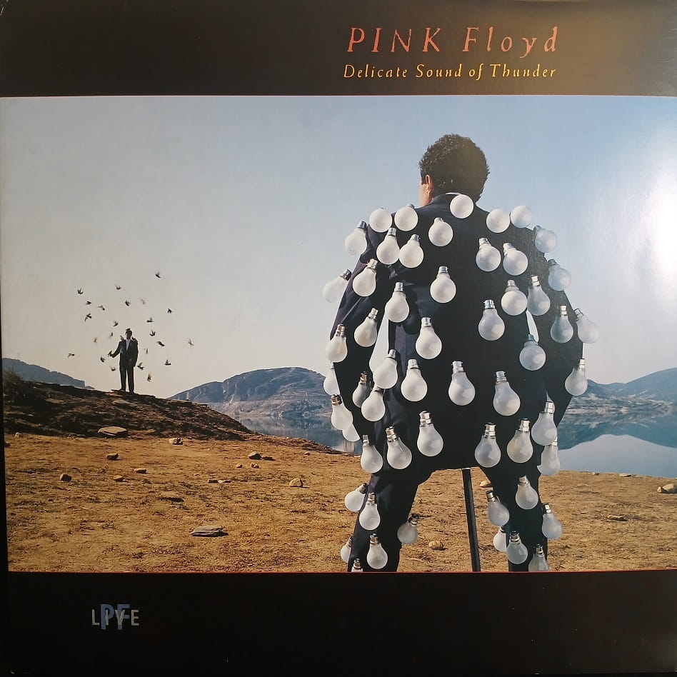 Pink Floyd, Delicate Sound Of Thunder 2 LP 1988 Europe, płyta winylowa