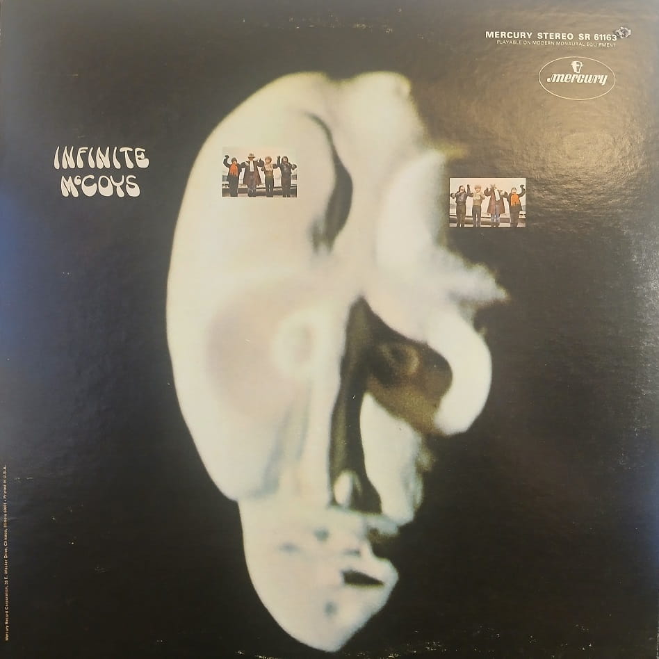 Infinite McCoys LP psych USA 1968, płyta winylowa