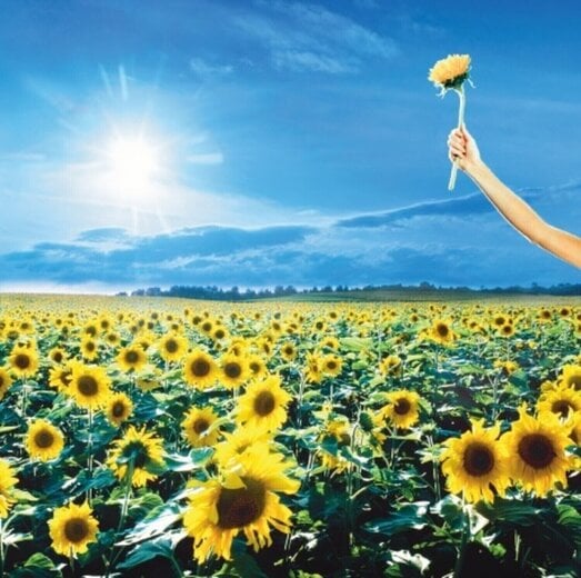 Stone Temple Pilots, Thank You 2LP