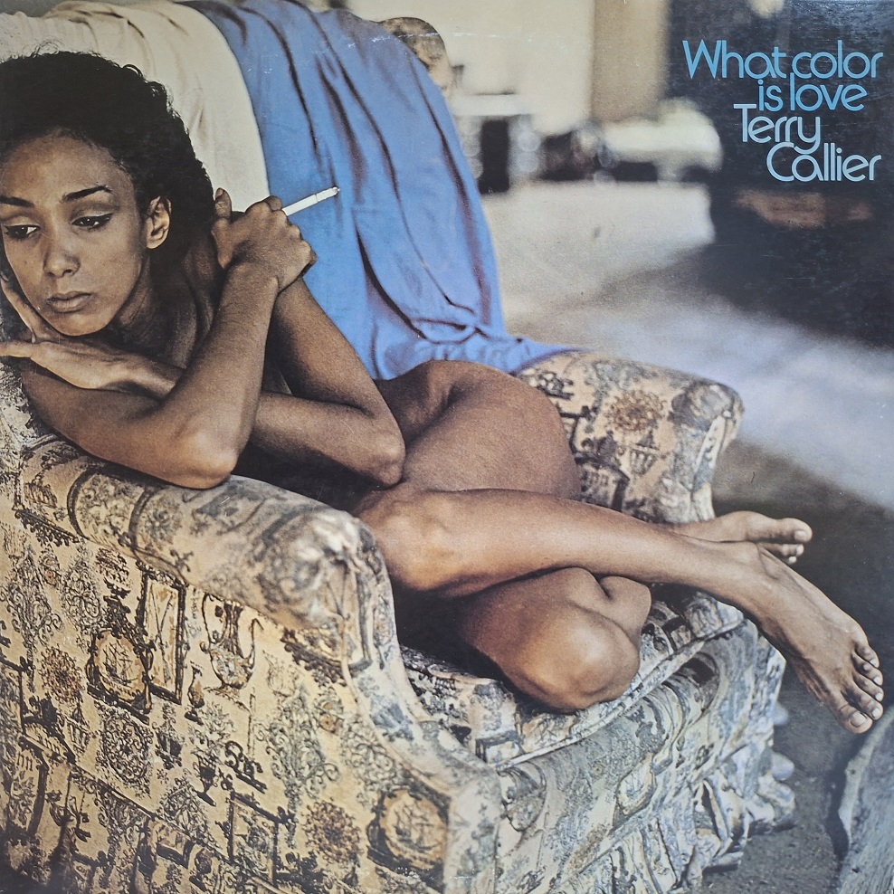 Terry Callier, What Color Is Love Japan 1996, jazz funk, płyta winylowa